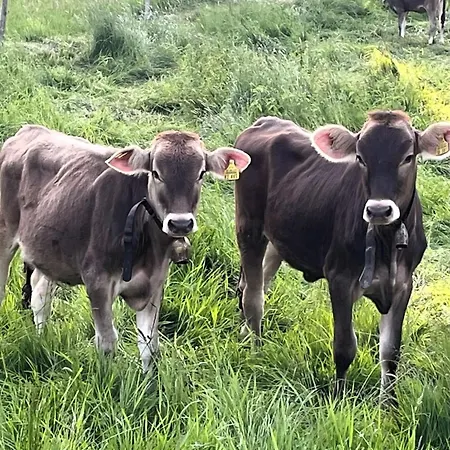 Stilvolles 1750 Im Allgaeu - 200qm - Ausstattung - Traumhafter Blick - Bis 8 Personen Prázdninový dům *